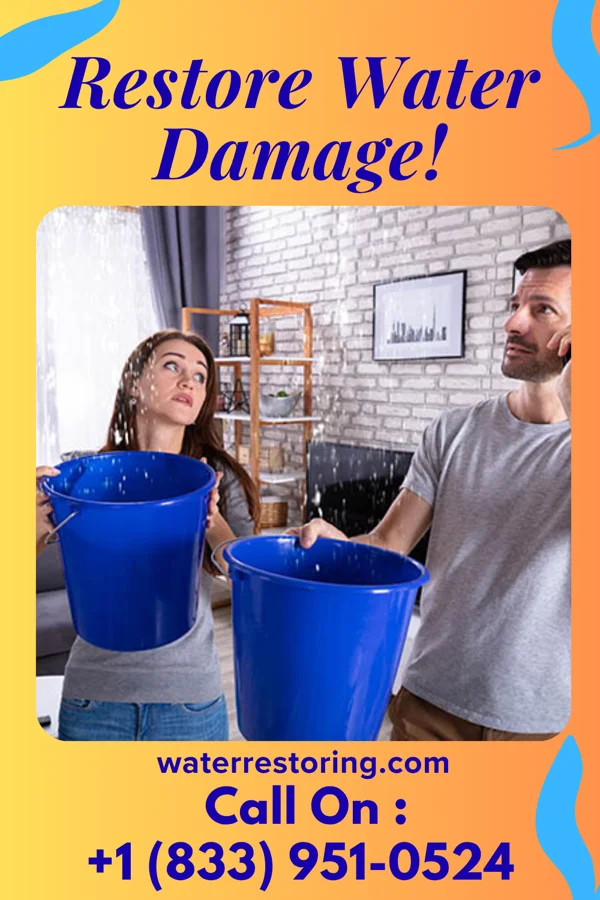 water restoration Quality Water Damage Specialists Norristown