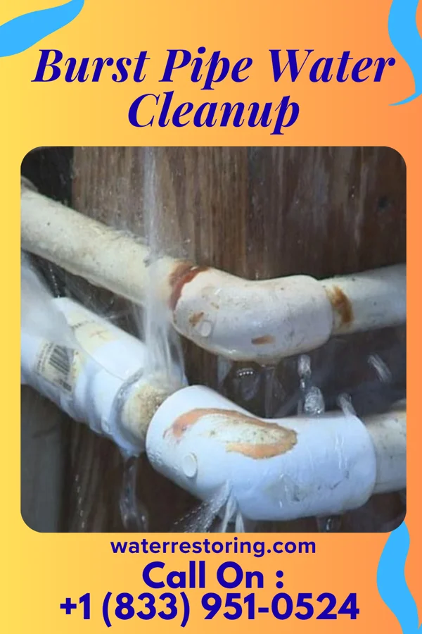 Burst Pipe Water Cleanup in Norristown, PA