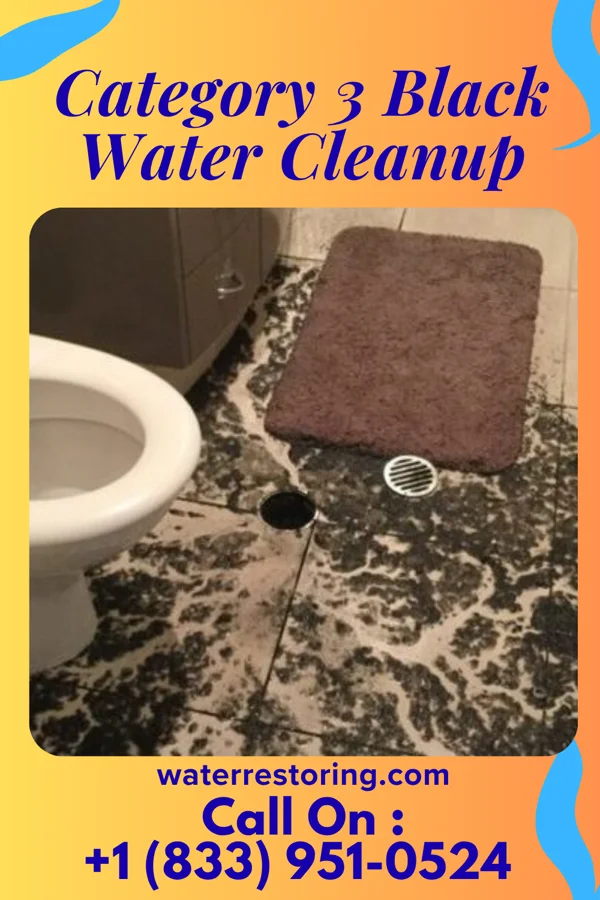 Category 3 Black Water Cleanup in Norristown, PA