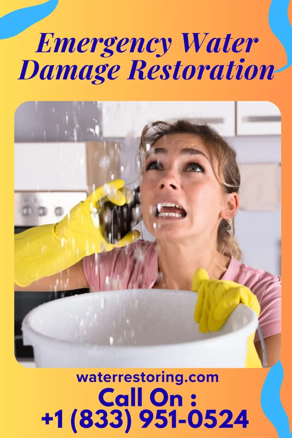 Emergency Water Damage Restoration in Norristown, PA