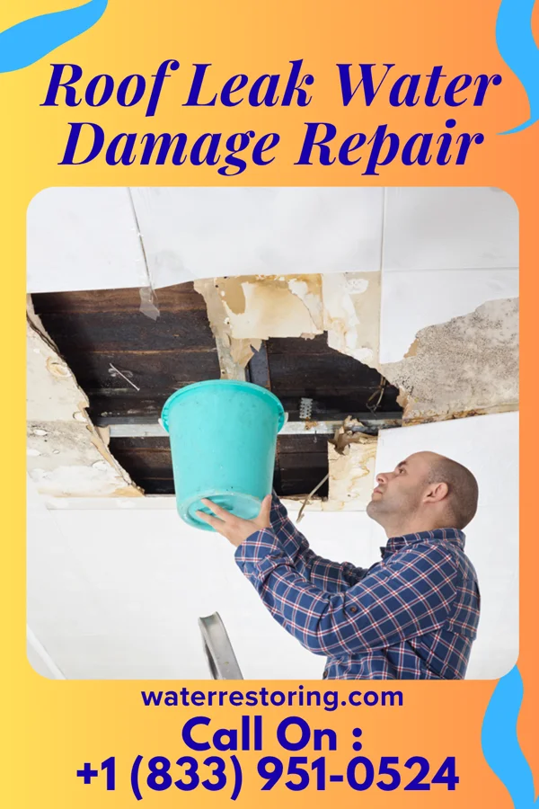 Roof Leak Water Damage Repair in Norristown, PA
