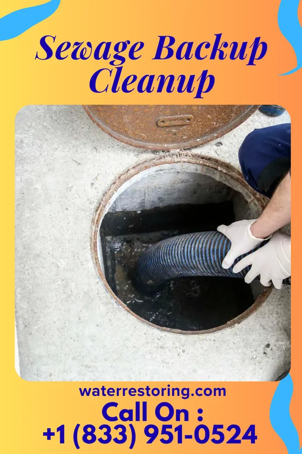 Sewage Backup Cleanup in Norristown, PA