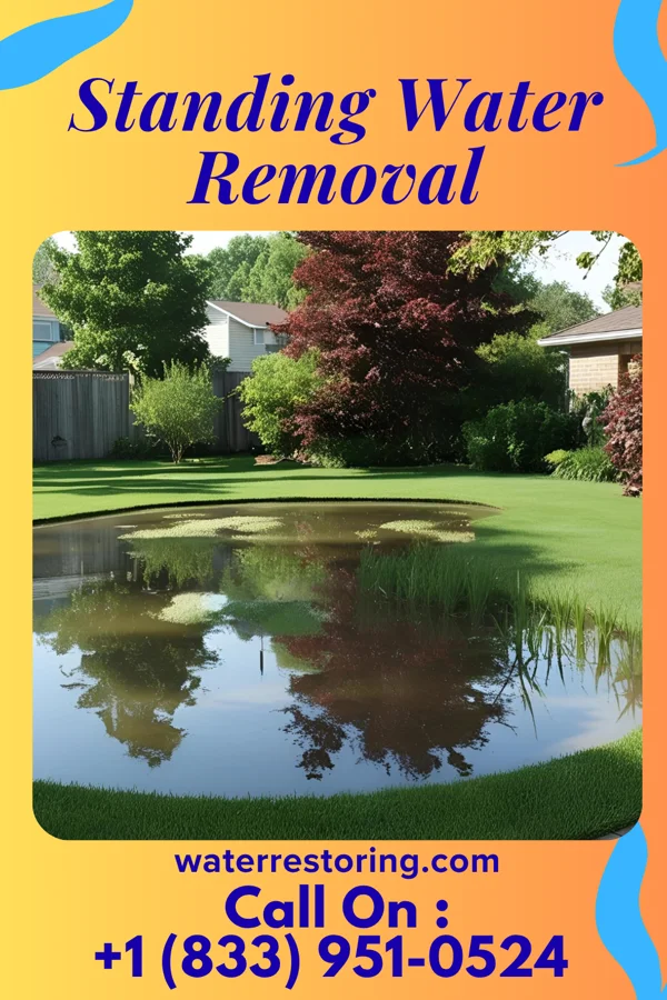 Standing Water Removal in Norristown, PA